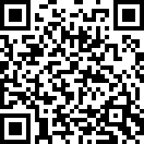 总体国家安全观