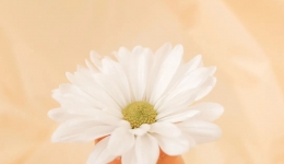 【名医有约】省级专家“触手可得”