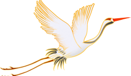 温暖重阳·健康助老——区中医医院“学党史·我为群众办实事之重阳节义诊”活动