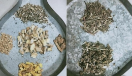 药香浓浓 药学助疫