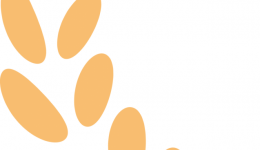 我院迎接区卫健局组织的节前安全生产检查